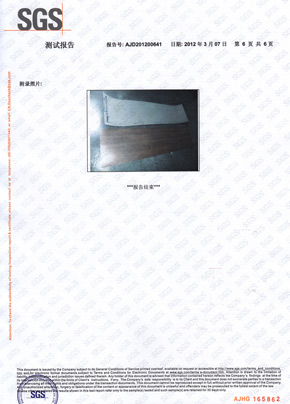 91视频网站免费观看检查报告SGS（中）