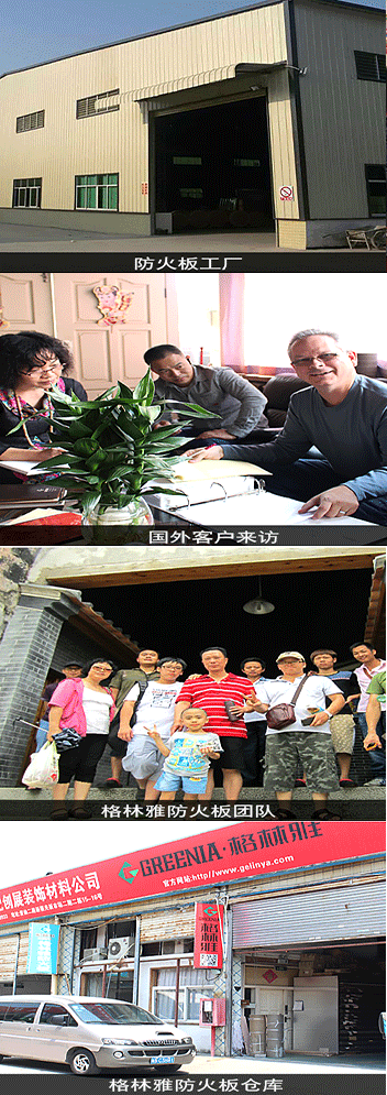 91视频网站免费观看简介