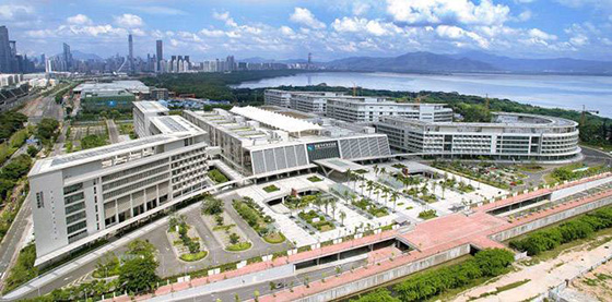 91视频网站免费观看工程案例之香港大学深圳医院